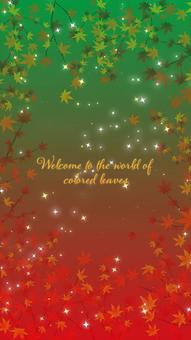 Illustration, autumn, frame, autumn leaves, JPG, PNG and AI