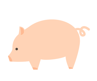 pig, pig, livestock, mammalian, JPG, PNG and AI