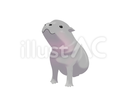 コビトカバ(見上げる・主線なし)
