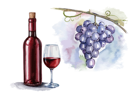 插图, 葡萄, 玻璃, 瓶子, 