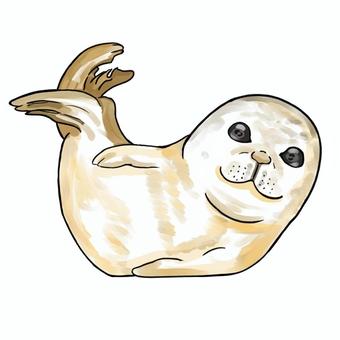 アザラシ アザラシ,海,可愛い,生物,水族館,尾ヒレのイラスト素材