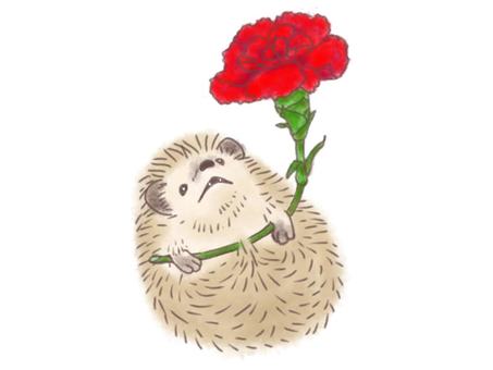 Carnation and Hedgehog (Mother's Day), , JPG