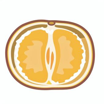 半分に割った古くなった空洞のあるみかん 半分に割った古くなった空洞のあるみかん みかん,古い,半分,割る,空洞,皮,果物のイラスト素材