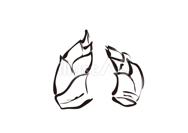 筍手描き2 筍,野菜,アイコンのイラスト素材