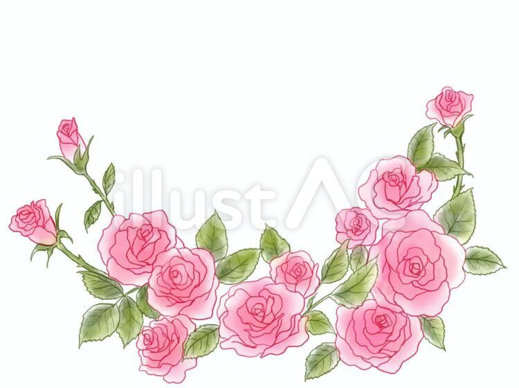 ピンクローズイラスト No 無料イラストなら イラストac