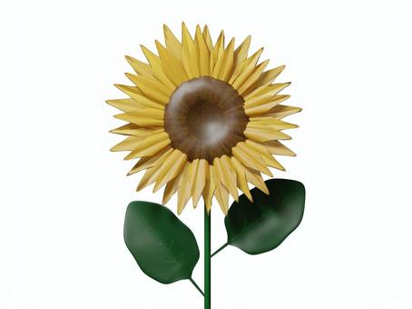 Illustration, sunflower, 1 this, summer, 
