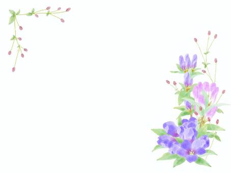 秋りんどうイラスト 無料イラストなら イラストac