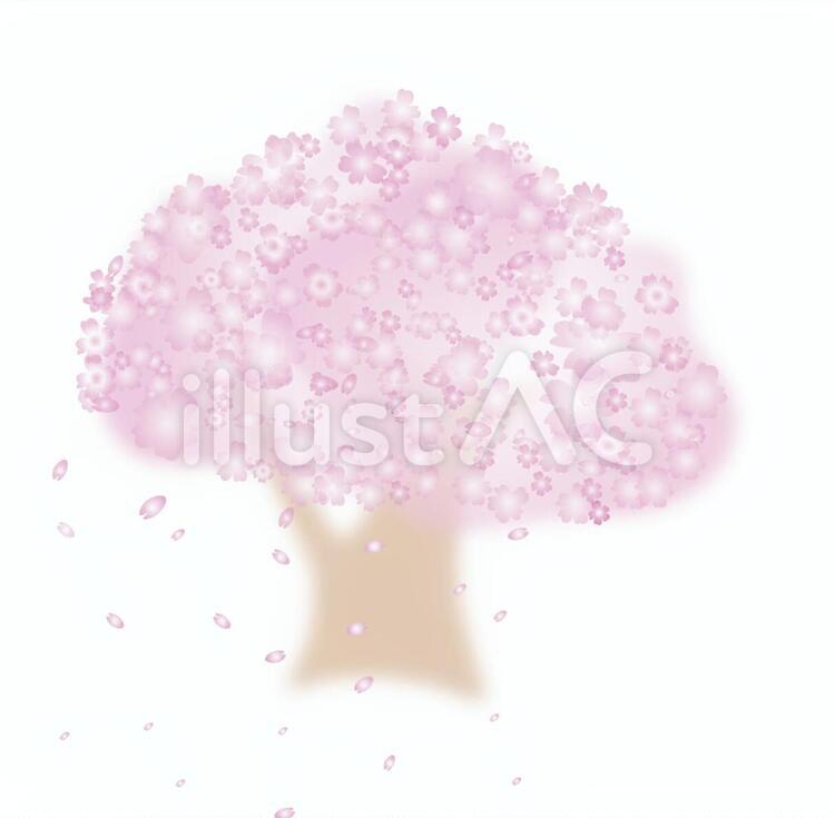 桜の木 桜,木,ピンクのイラスト素材