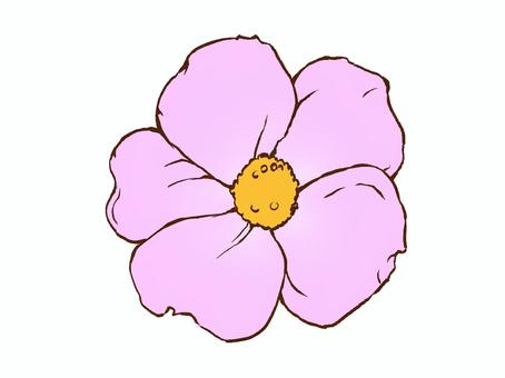 ポーチュラカ（ピンク） ポーチュラカ,花,夏の花,多肉植物,可愛い,ピンク,ガーデニング,植物,イラスト素材,手描きのイラスト素材