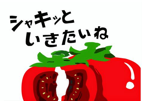 野菜のトマトをモチーフにした絵手紙 ポストカード,トマト,野菜,手描き風,夏,赤,瑞々しい,ハガキ,渋い,シンプルのイラスト素材