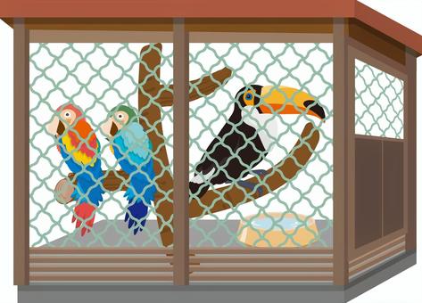 鳥小屋のインコ 小屋,オリ,ゲージ,アミ,オオハシ,インコ,オウム,コンゴウインコ,ペット,ペットショップのイラスト素材