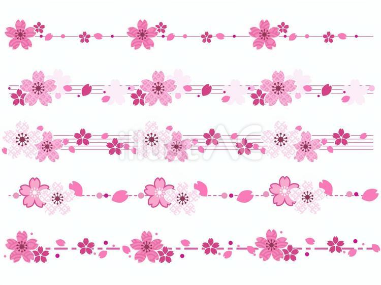 和風さくらの装飾ライン 桜,区切り線,ラインのイラスト素材