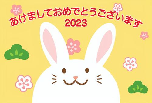 年賀状2023-2 年賀状,うさぎ,卯年,干支,十二支,2023,2023年,令和5年,年賀,お正月のイラスト素材