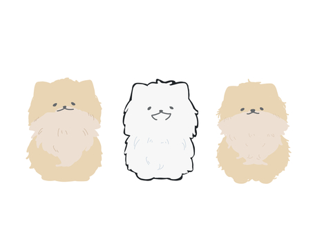 ポメラニアン ポメラニアン,犬,動物,生き物,かわいい,手描き,イラスト,デフォルメ,三匹,三兄弟のイラスト素材