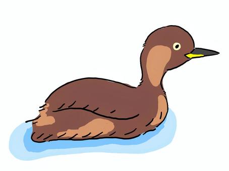 Grebe, Grebe, greaves, one, cute,