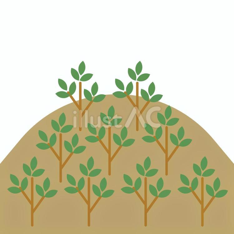 植林 植林,山,森のイラスト素材
