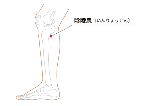 つぼ　陰陵泉 健康,美容,東洋医学,陰陵泉,つぼのイラスト素材
