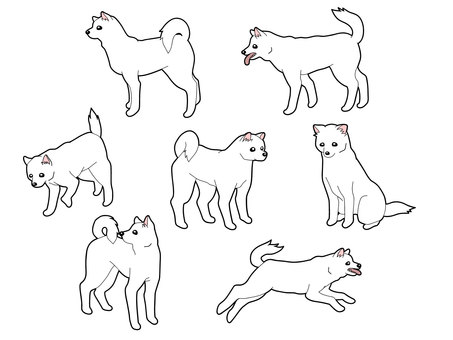 紀州犬７種 紀州犬,犬,日本犬,ペット,可愛い,横顔,歩く,お座り,振り返る,走るのイラスト素材