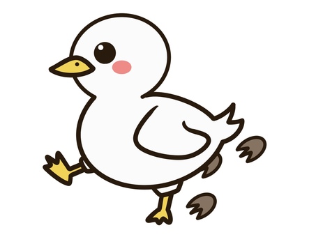 duck walking, , JPG and PNG