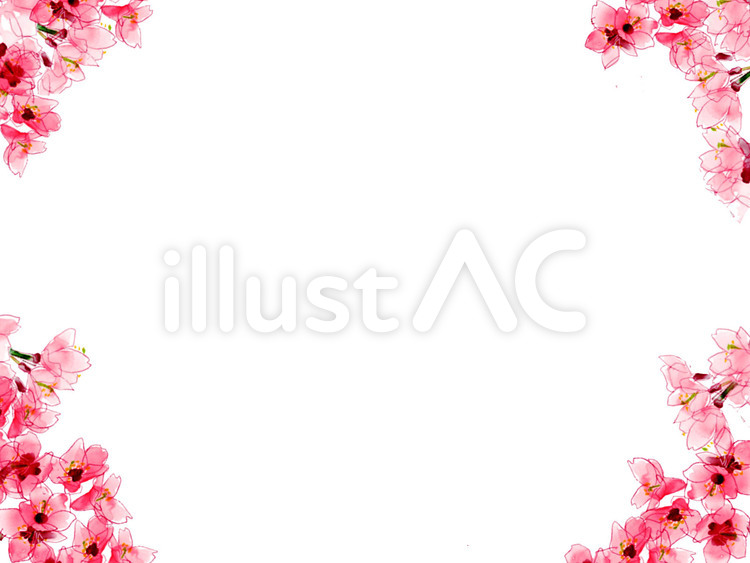 桜　水彩　フレーム4 サクラ,桜,フレームのイラスト素材