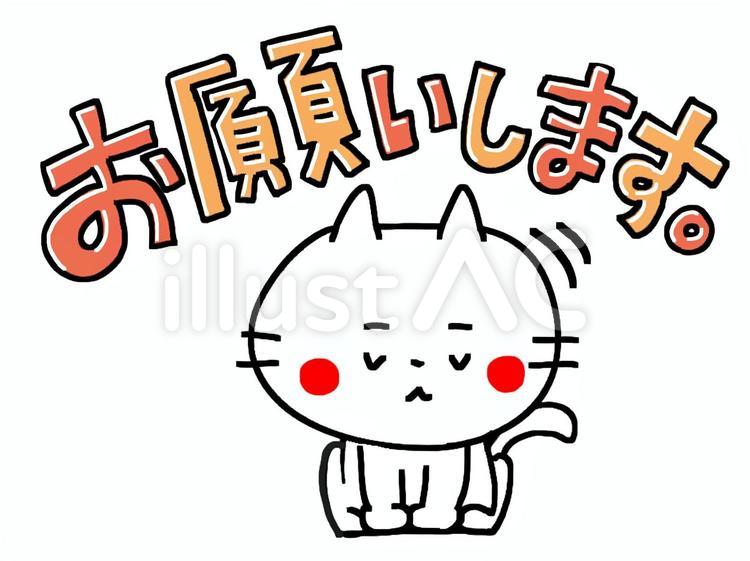 猫　お願い 猫,お願い,pop調のイラスト素材