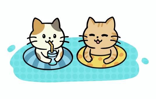 プールに入るミケネコとシマトラ猫 猫,夏,プール,水遊び,浮き輪,泳ぐ,海,海水浴,スイミング,水泳のイラスト素材