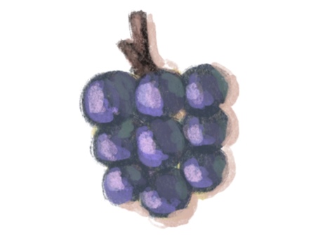 Illustration, grape, fruits, food, 
