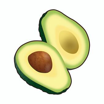 アボカドのリアルテイストイラスト アボカド,野菜,美容,健康,栄養,食育,献立,メニュー,レシピ,サラダのイラスト素材