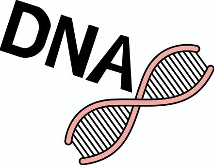 DNA　 dna,組織,体内,遺伝,生物,デフォルメ,アルファベット,イメージのイラスト素材