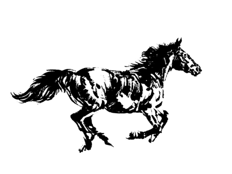 走る馬 馬,動物,走る,墨絵,手描き,きれい,毛並み,透過,素材のイラスト素材