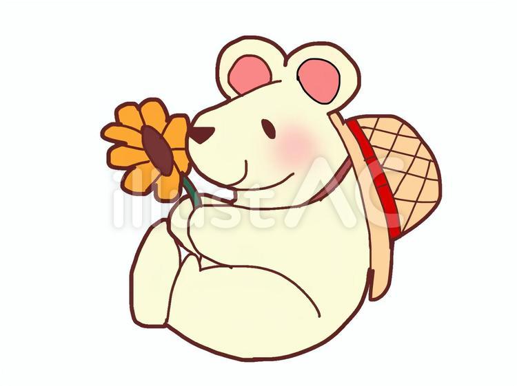 クマと花 クマ,花,夏のイラスト素材