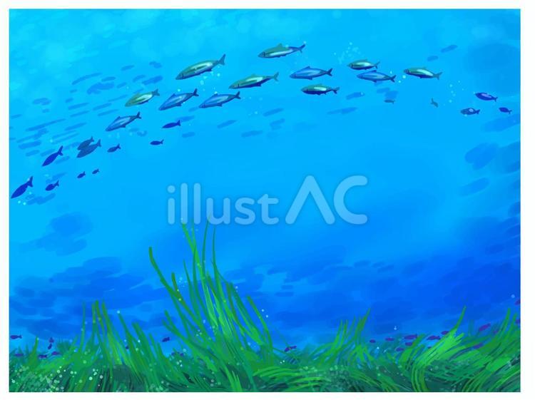 青い海と魚水草 海,水中,海中のイラスト素材