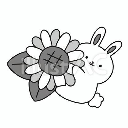 うさぎと向日葵