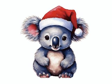 サンタクロースの帽子を被ったコアラ