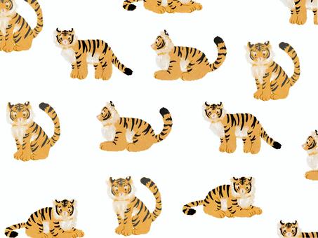 Tiger pattern white, JPG Tiger pattern white, animal, fluffy, tiny, JPG