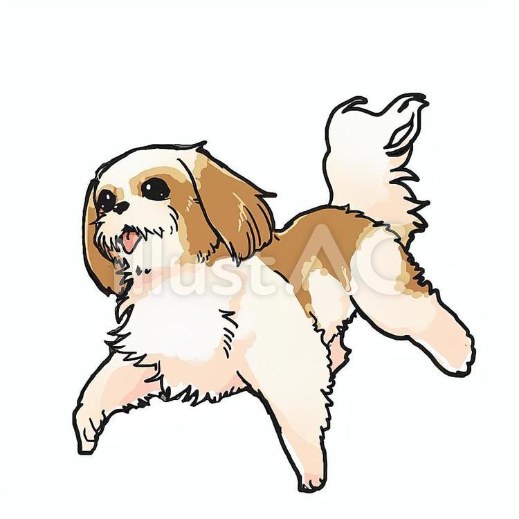 シーズー犬イラスト No 無料イラストなら イラストac