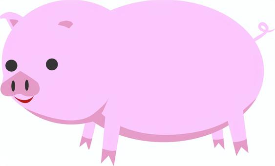 Illustration, a babi, a mamalia, mlaku kuadrat, 