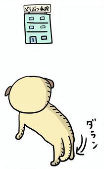 動物病院を見て落ち込む犬 動物病院,しっぽ,落ち込む,パグ,フォーン,犬,拒否,いやのイラスト素材