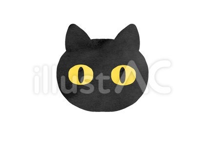 黒猫の顔