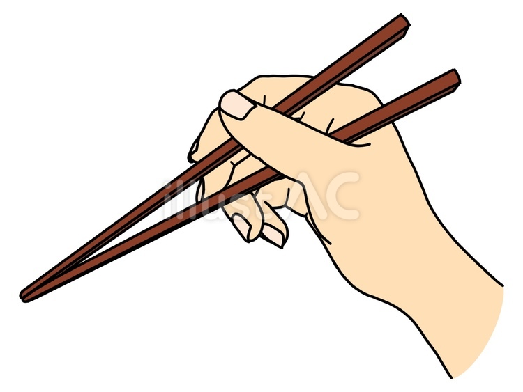 箸を持つ手 箸,食べる,持つのイラスト素材