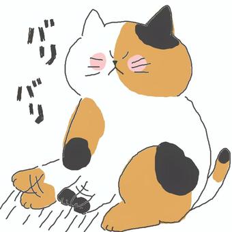 爪研ぎする三毛猫ちゃん 爪研ぎする三毛猫ちゃん かわいい,爪研ぎ,引っ掻く,ねこ,三毛猫,どうぶつ,いきもの,ペット,しっぽ,可愛いのイラスト素材