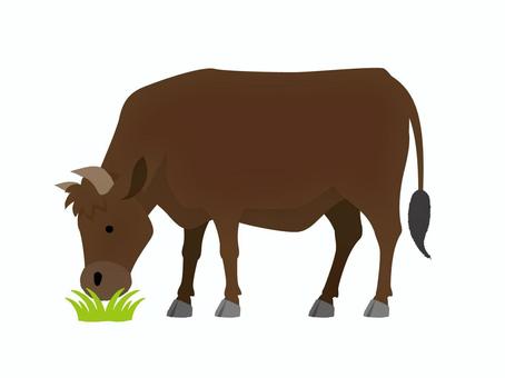 牛　草を食べる牛 牛,和牛,牧場,家畜,干支,丑年,年賀状,オージービーフ,ステーキ,草のイラスト素材