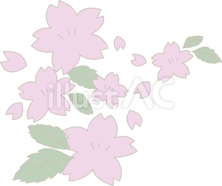 桜の飾り さくら,桜,櫻のイラスト素材