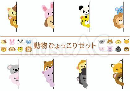 動物ひょっこりセット
