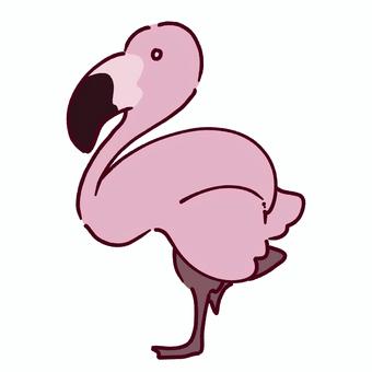 フラミンゴ フラミンゴ,動物,生き物,片足,ピンク,鳥,かわいいのイラスト素材