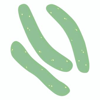 きゅうり きゅうり,野菜,ベジタブル,瓜科,食べ物,素材,イラスト,単品のイラスト素材
