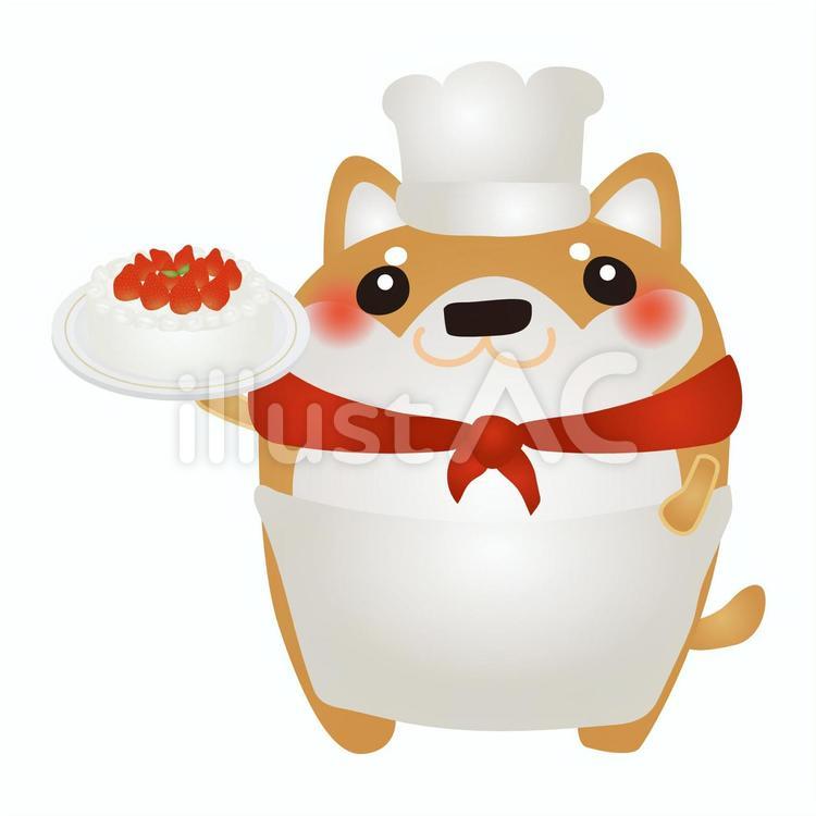柴犬パティシエ 柴犬,パティシエ,ケーキ屋さんのイラスト素材