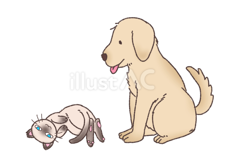 犬と猫 犬,猫,シャム猫のイラスト素材