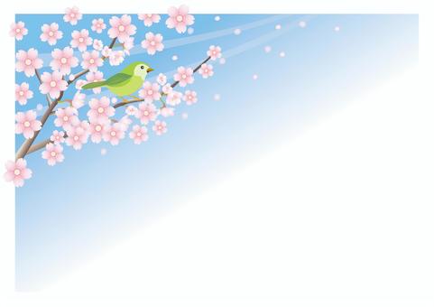 cherry blossoms and warblers, , JPG, PNG and AI