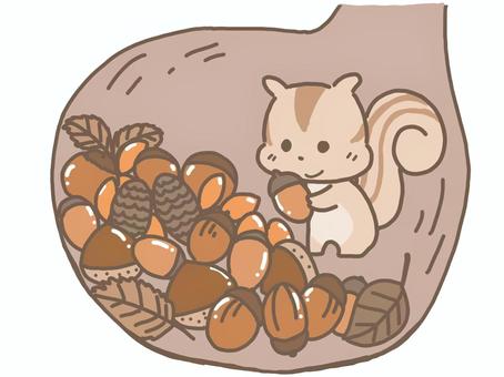 蓄えるリス リス,シマリス,ドングリ,蓄える,集める,巣,動物,食料,備蓄,秋のイラスト素材